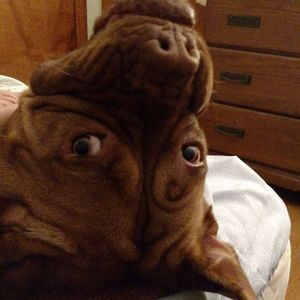 Meet your Posher, Cathy